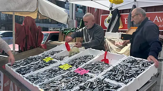 Hamsinin fiyatı 70 liraya indi, tezgahlar şenlendi