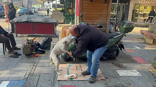 Hayata tutunan engelli köpeğe bebek gibi bakıyor