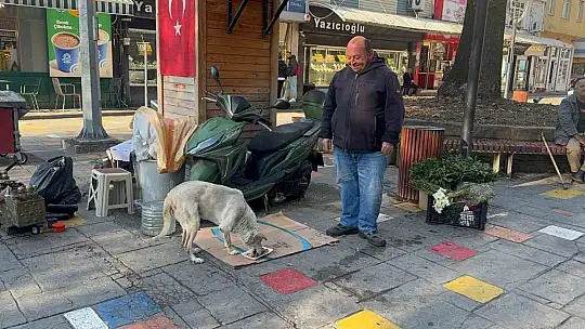 Hayata tutunan engelli köpeğe bebek gibi bakıyor