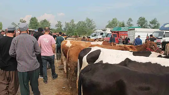 Hayvan pazarında sıkı denetim
