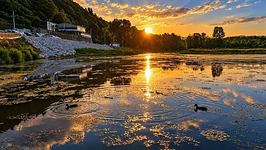 Hem canlılar hem batan güneş görsel şölen sunuyor
