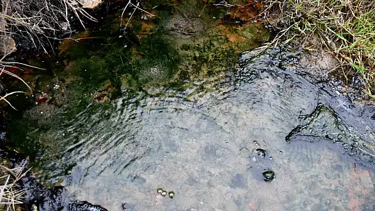 Her yıl yüzlerce insan bu suyla yıkanarak şifa arıyor