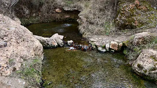 Her yıl yüzlerce insan bu suyla yıkanarak şifa arıyor