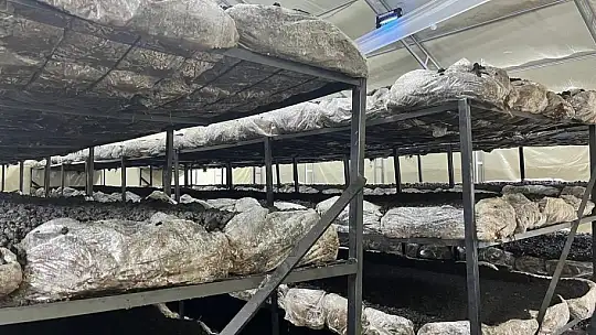 İlçenin ekonomisine yeni soluk