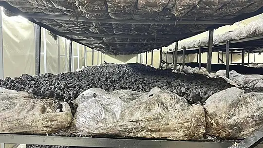 İlçenin ekonomisine yeni soluk