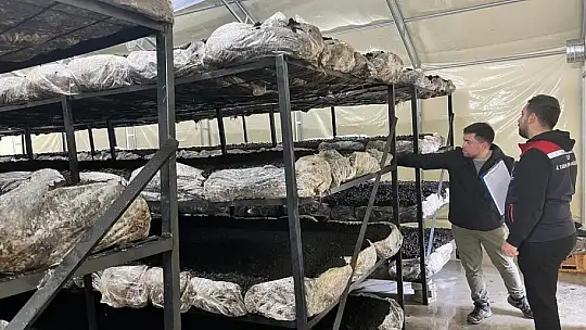 İlçenin ekonomisine yeni soluk