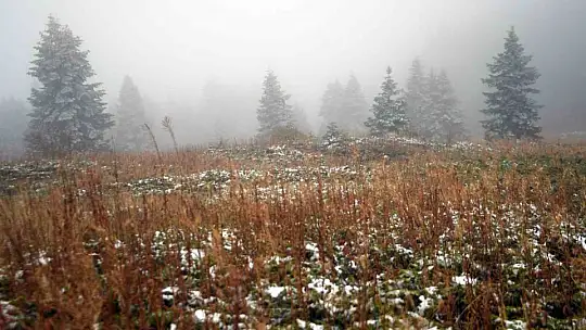 Ilgaz Dağı'nda kar yağışı etkili oldu: Ortaya mest eden görüntüler çıktı