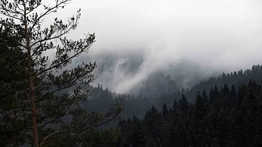 Ilgaz Dağı'nda kar yağışı etkili oldu: Ortaya mest eden görüntüler çıktı