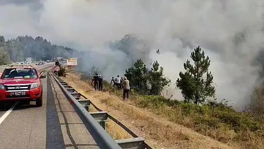 Mengen'de yangın büyüyor