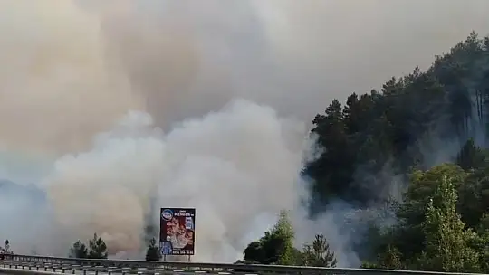 Mengen'de yangın büyüyor
