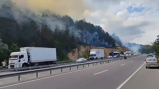 Mengen'de yangın büyüyor