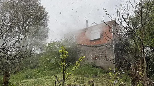 Bartın'da yangın can aldı