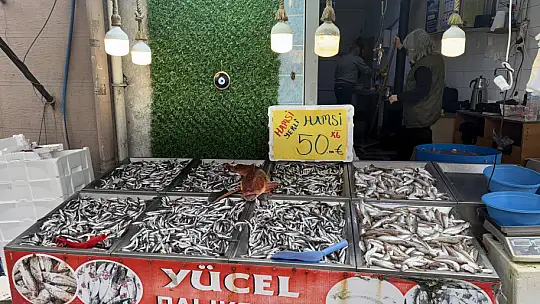 Hamsi ilk kez bu fiyata düştü