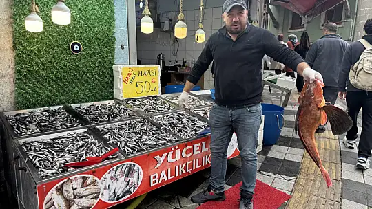 Hamsi ilk kez bu fiyata düştü