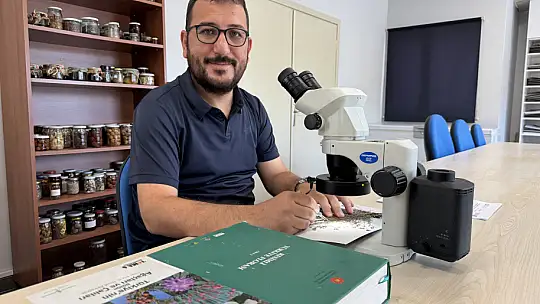 Yeni tür keşfedildi