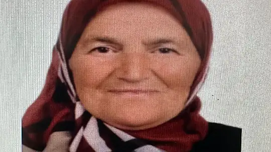 Yaşlı kadını arama çalışmaları sürüyor