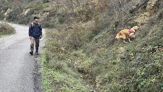 Yaşlı kadını arama çalışmaları sürüyor