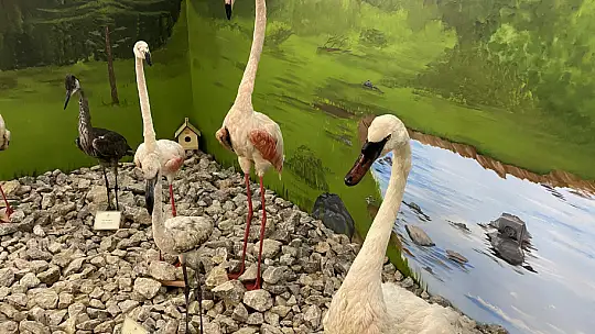 Ulus'un çekim merkezlerinden olacak