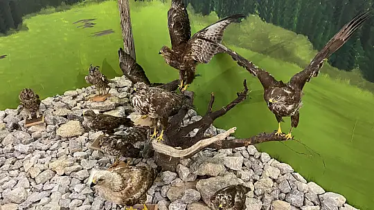 Ulus'un çekim merkezlerinden olacak