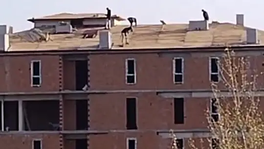 İnşaat çatısında tehlikeli çalışma kameraya yansıdı