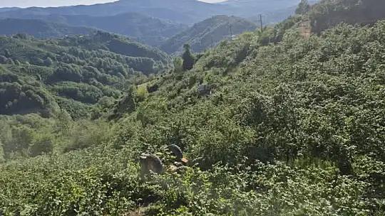 İş makinası şarampole devrildi, operatör atlayarak kurtuldu