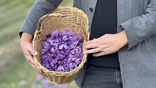 İtalya'da analiz ettirdiği safranıyla yurt dışından da talep görüyor