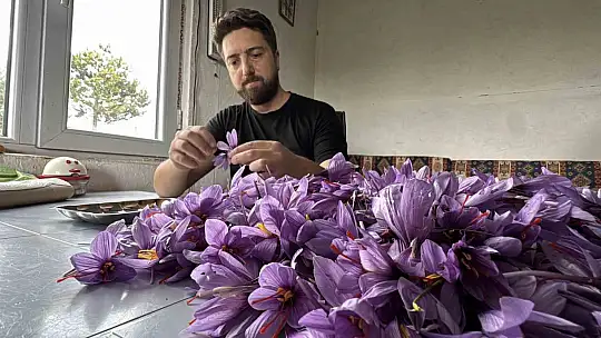 İtalya'da analiz ettirdiği safranıyla yurt dışından da talep görüyor