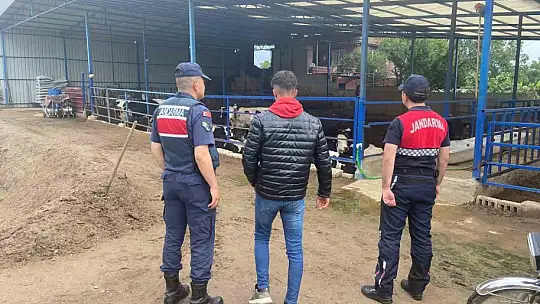 Jandarma hayvan hırsızlığı ve dolandırıcılığına karşı bilgilendirdi