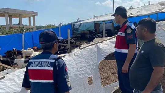 Jandarma hayvan hırsızlığı ve dolandırıcılığına karşı bilgilendirdi