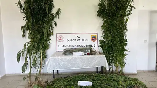 Jandarma olayların yüzde 98'ini aydınlattı