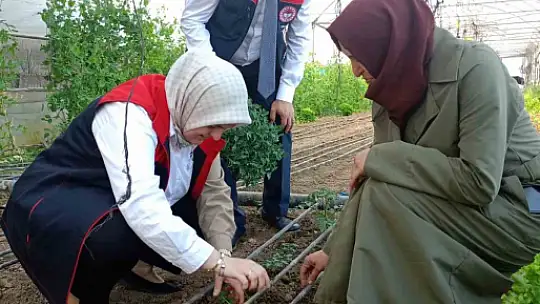 Kadın çiftçiye destek