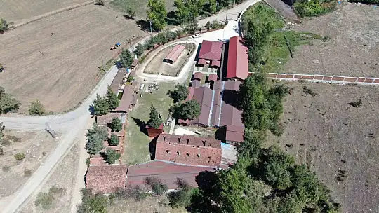 Kadınların kış mesaisi başladı: Elmalar kazanlarda pekmeze dönüşüyor
