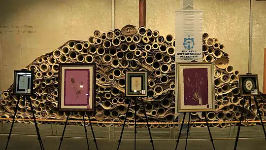 Kağıtta açan çiçekler sergisi SEKA'da açıldı