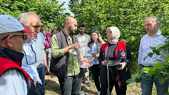 Kahverengi Kokarca için 145 tuzak asıldı