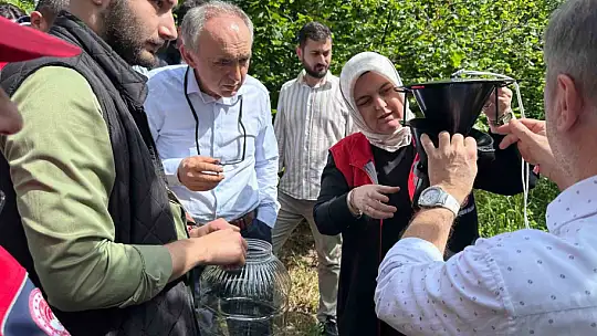 Kahverengi Kokarca için 145 tuzak asıldı