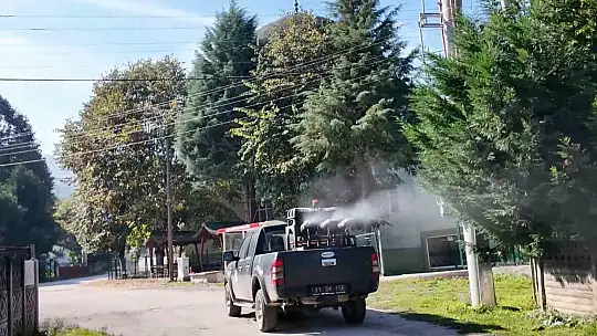 Kahverengi kokarca ile mücadele sürüyor