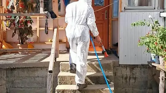 Kahverengi kokarcaya karşı kışlak mücadele