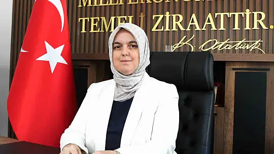 Kahverengi kokarca zararlısı ergenleri görülmeye başlandı