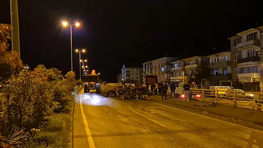 Kamyondan kara yoluna dökülen odunlar kaldırıldı