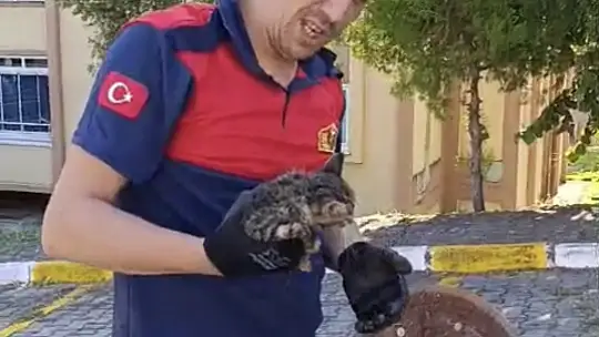 Kanalizasyon borusuna sıkışan yavru kedi kurtarıldı