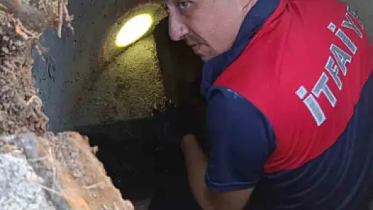 Kanalizasyon borusuna sıkışan yavru kedi kurtarıldı