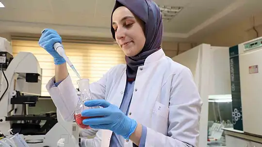 Kanseri önlemede yeni umut: kereviz tohumu