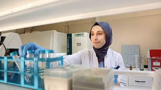Kanseri önlemede yeni umut: kereviz tohumu