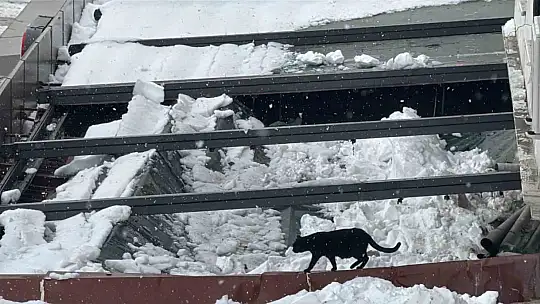 Kar birikintisi zincir marketin çatısını çökertti