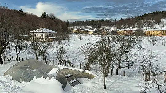 Kar birikintisine dayanamayan seralar çöktü