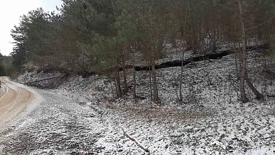 Kar soğuğu baharın müjdecisini dondurdu