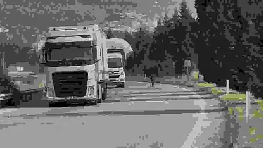 Kara yoluna çıkan eşek trafiği tehlikeye düşürdü