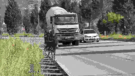 Kara yoluna çıkan eşek trafiği tehlikeye düşürdü