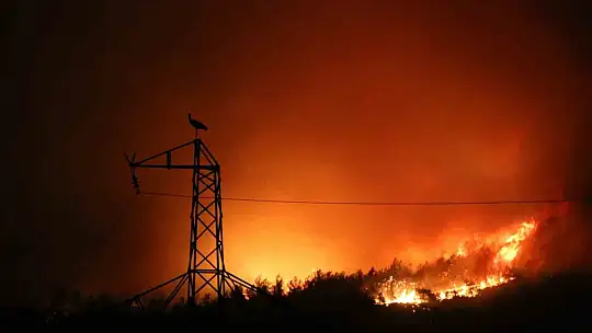 Kara yoluna yaklaşan alevler dronla görüntülendi
