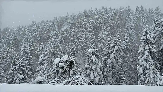 Bartın - Karabük kara yolunda kar nedeniyle tırların geçişine izin verilmiyor